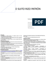 Portafolio Artista Favrizzio Suito Rizo Patron