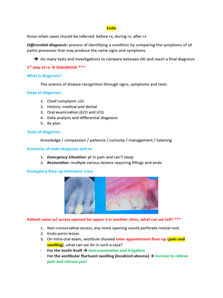 Endo Edited Pdf Dental Anatomy Medical Specialties