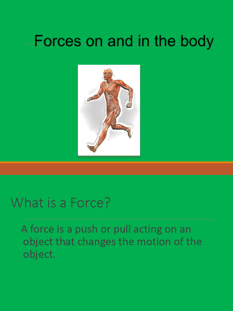 Understanding Forces in the Human Body | PDF | Lever | Force
