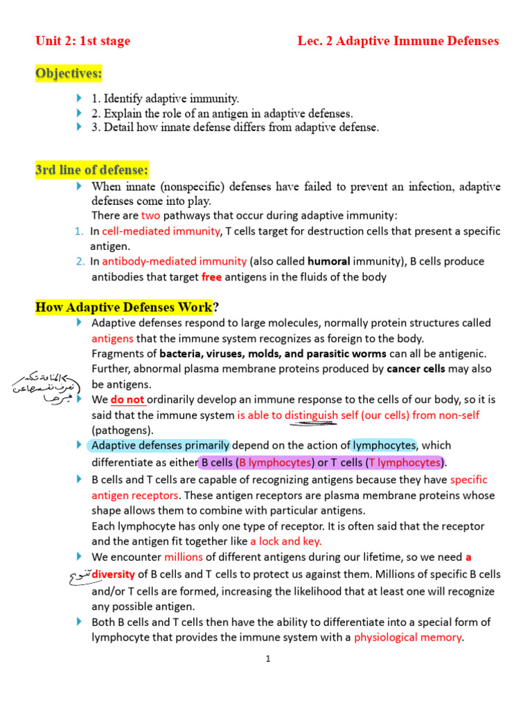 lecture 2 immun. U2 | PDF | Adaptive Immune System | Immune System