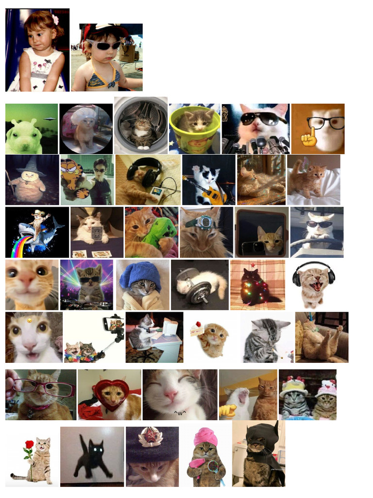 Cats | PDF