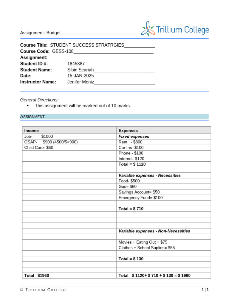 Assignment Budget | PDF