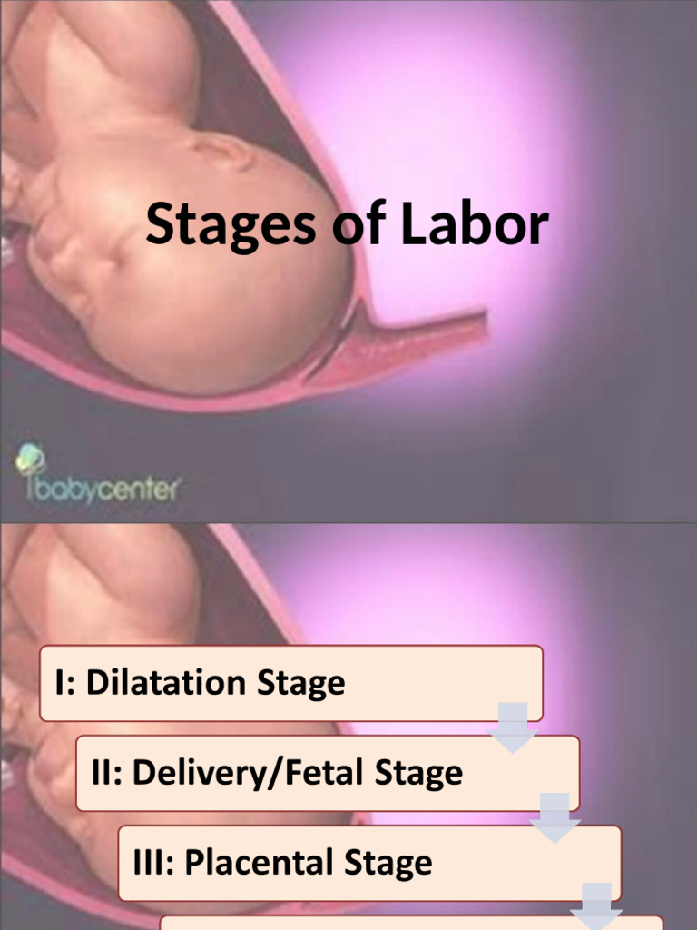 Understanding the Stages of Labor | PDF | Childbirth | Placenta