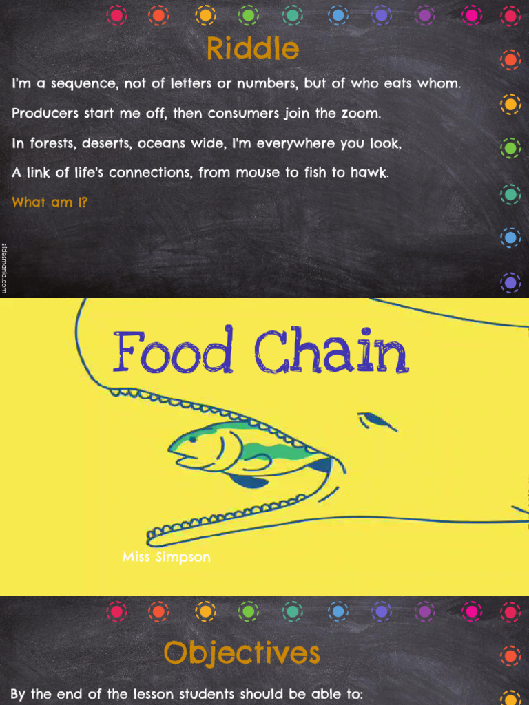 Understanding Food Chains and Webs | PDF | Herbivore | Foods