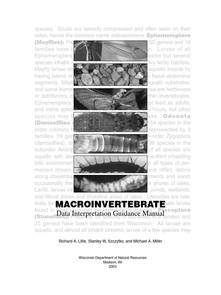 2003 lillie et al macroinvertebrados indices de div data