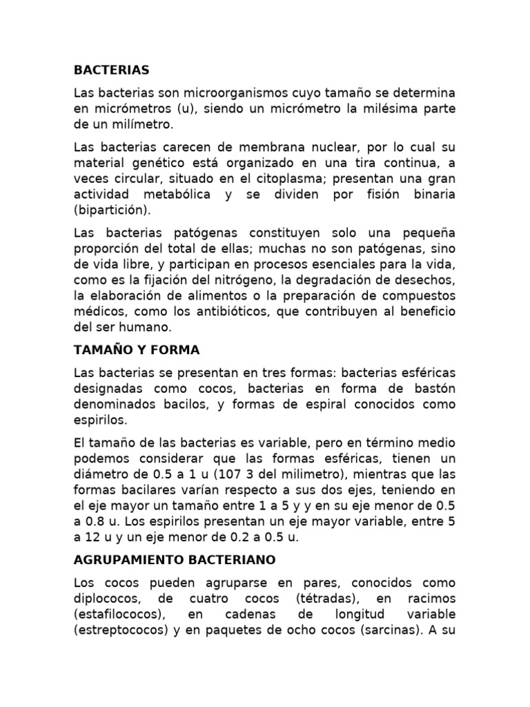 Estructura y Función de las Bacterias | PDF | Las bacterias | Membrana ...