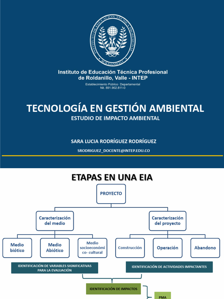 Impacto Ambiental en Proyectos EIA | PDF | Entorno natural | Evaluación ...