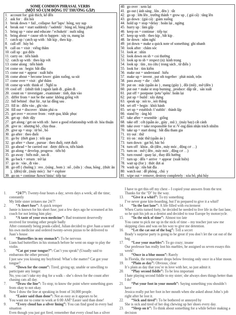 Common English Phrasal Verbs Guide | PDF