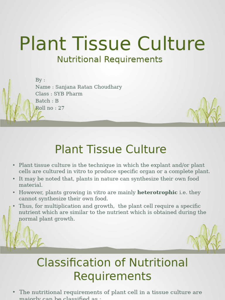Nutritional Needs in Plant Tissue Culture | PDF | Auxin | Plant Hormone