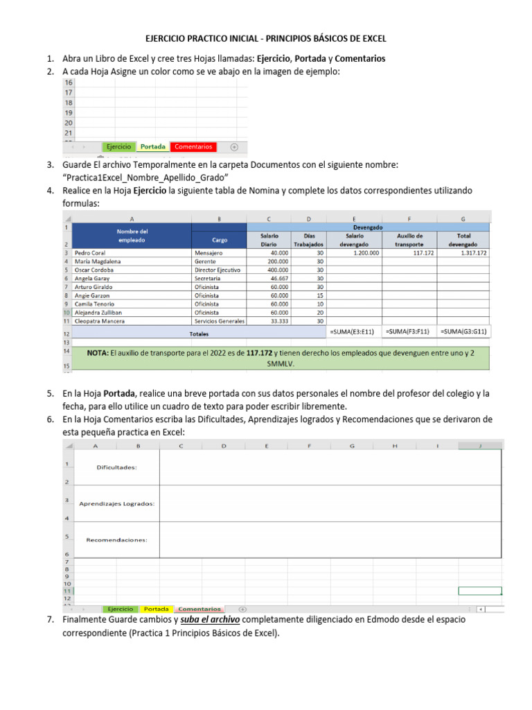 Ejercicio Práctico de Excel Básico | PDF