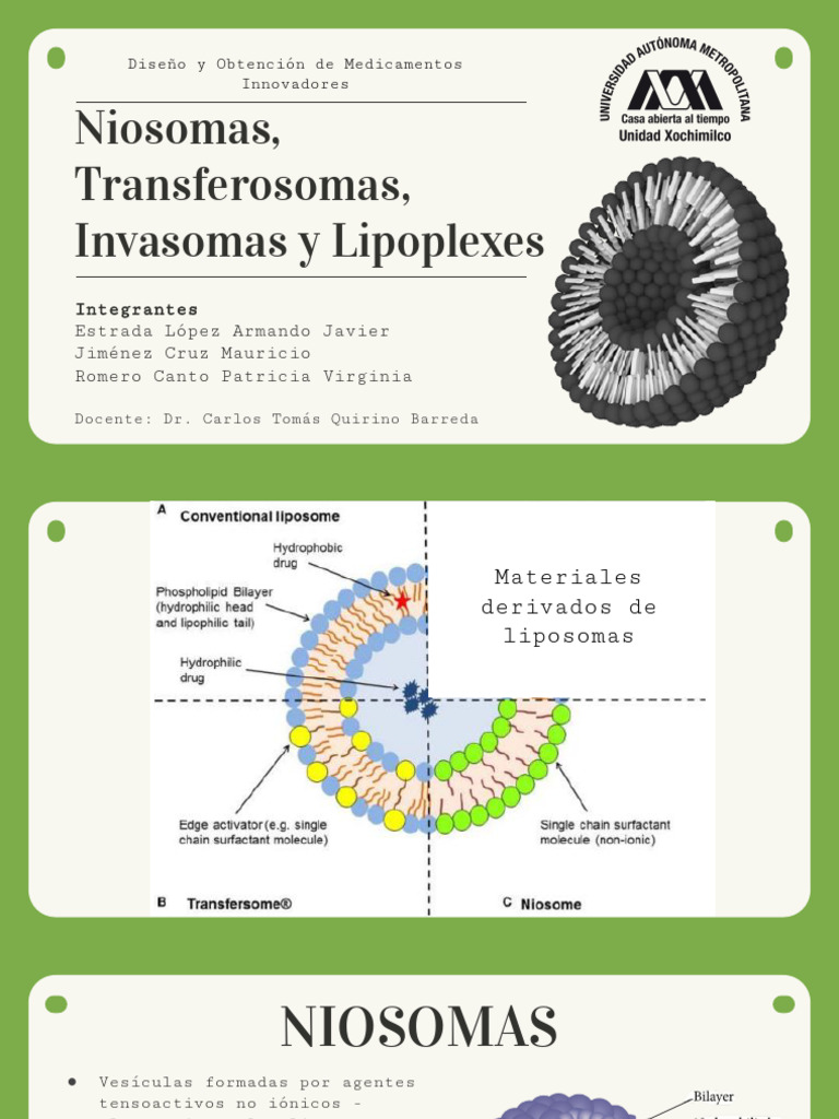 Niosomas: Diseño y Aplicaciones Médicas | PDF | Bicapa lipídica | Liposoma