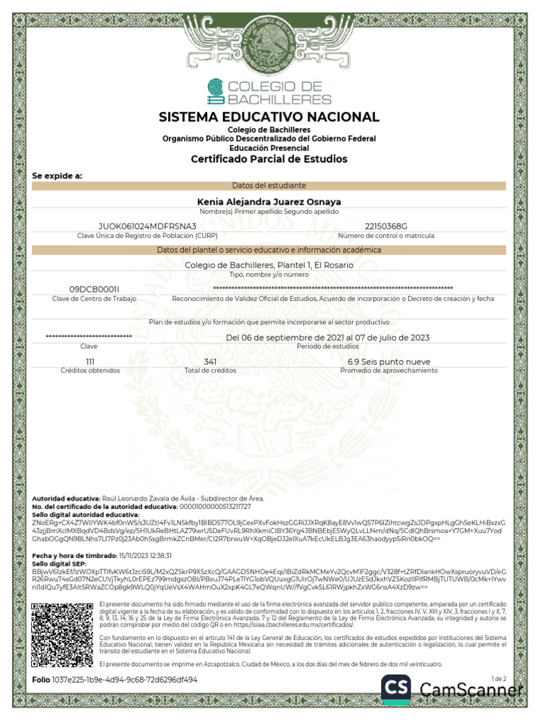 Certificado Parcial | PDF