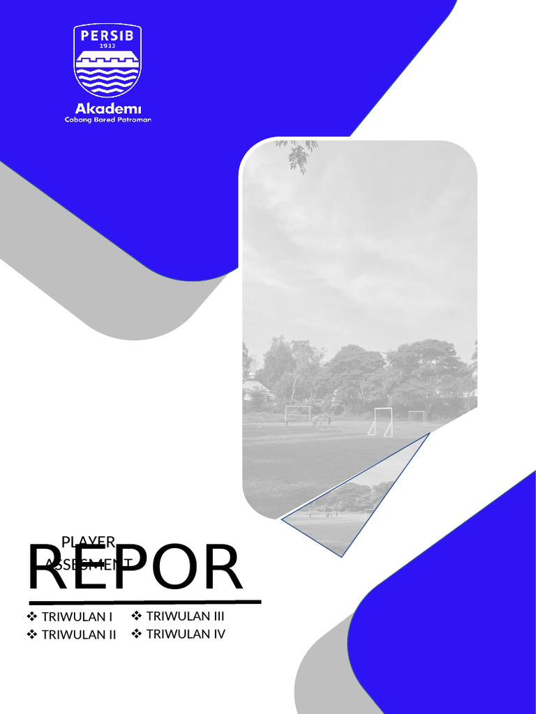 Player Assessment Report Summary | PDF