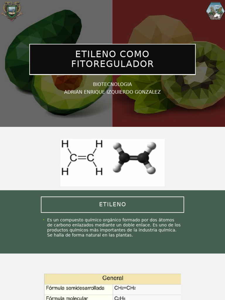 Efectos del Etileno en Plantas | PDF | Etileno | Hoja