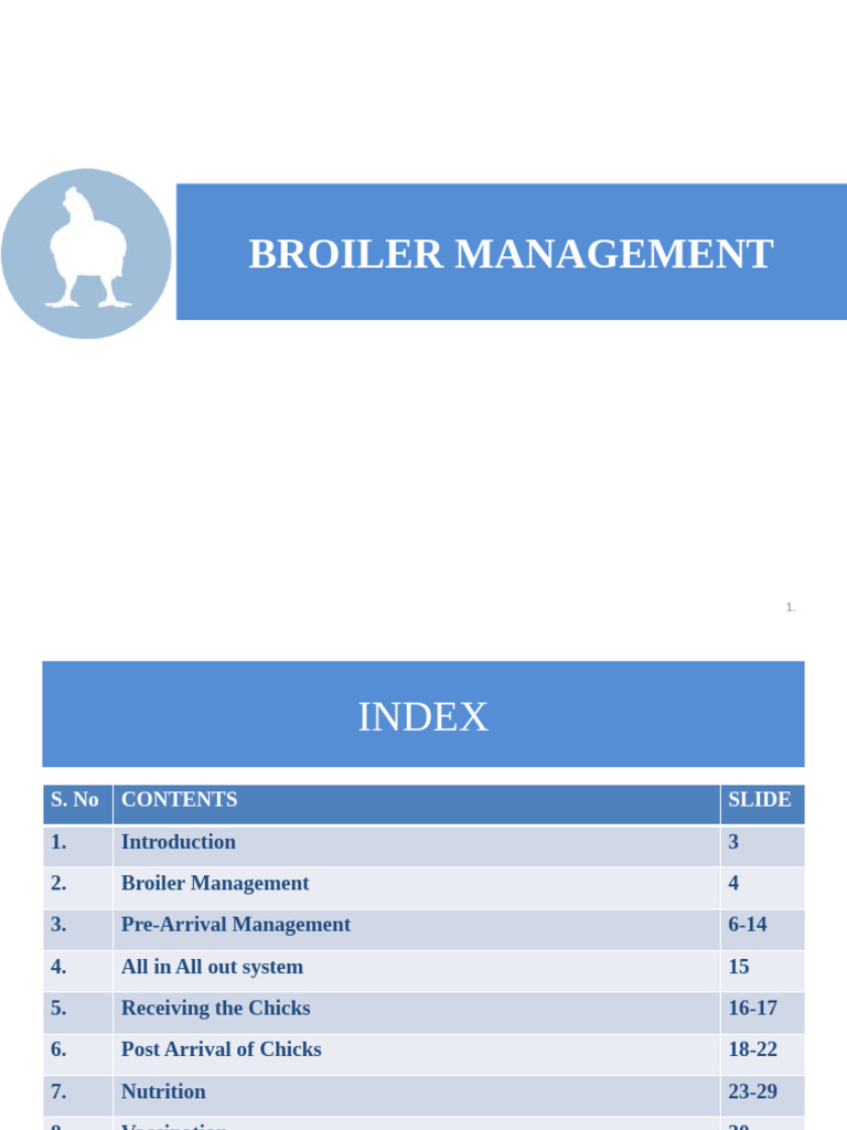Poultry Rearing Explained | PDF | Building Insulation | Birds