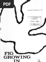 Fig Growing in the South