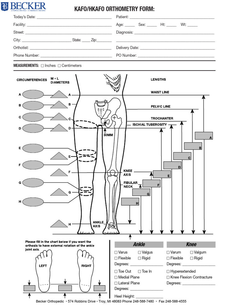 Orthform Metal and Leather Thermo Kafo 0001 | PDF | Anatomical Terms Of ...