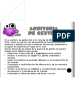 Auditoria de Gestion