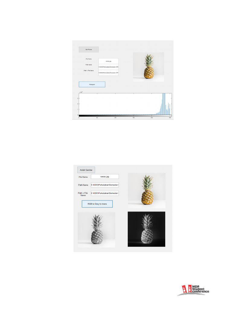 Operasi Histogram Dan Negasi Citra Digital Pdf