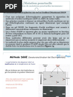 Définition et principe du RFLP | PDF | Réaction en chaîne par ...