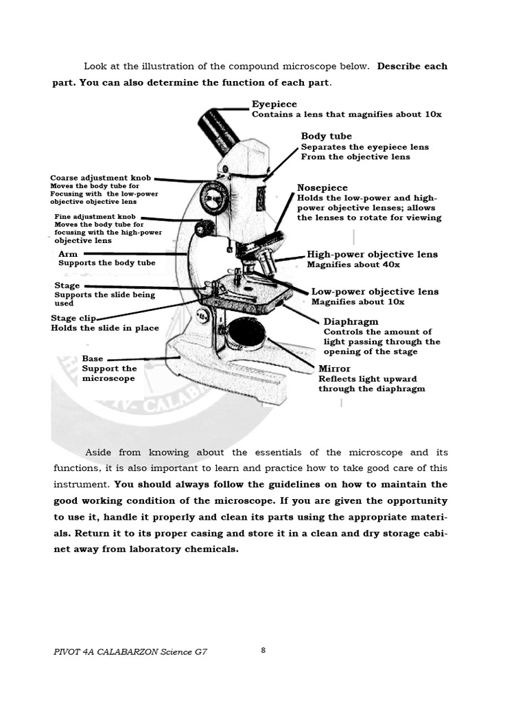 Microscope Parts and Maintenance Guide | PDF | Microscopy | Glass ...