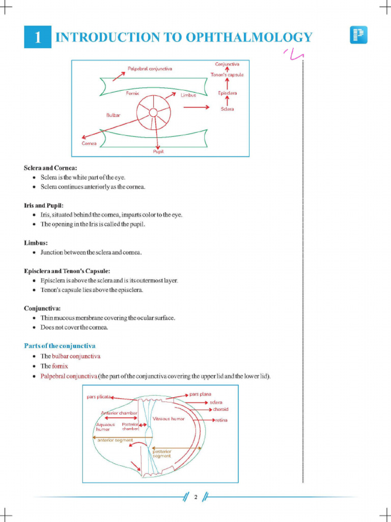 Ophthalmology | PDF