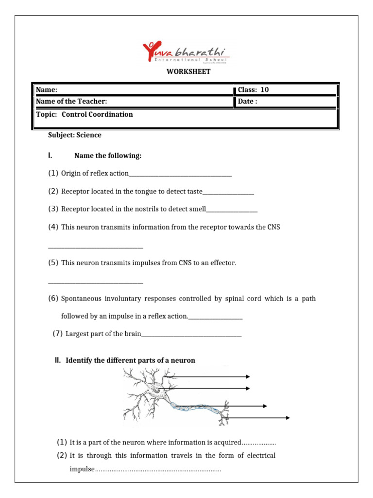 Control Coordination Science Worksheet | PDF | Hormone | Neuron