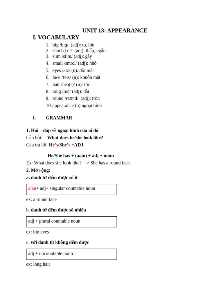 Describing Appearance in Unit 13 | PDF