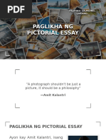 Pictorial Essay | PDF