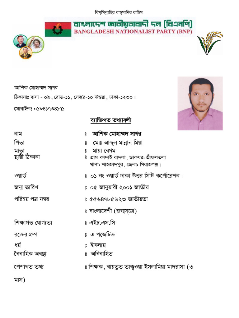 BNP Political CV Format Guide | PDF