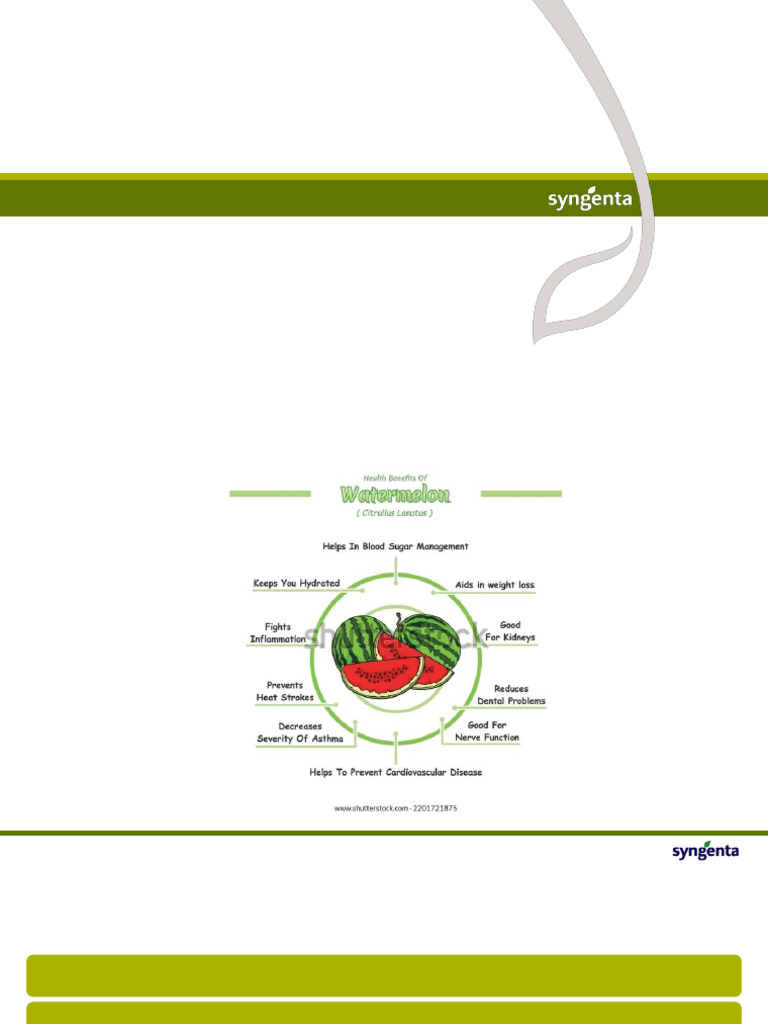 Watermelon Production and Management Guide | PDF | Watermelon | Soil