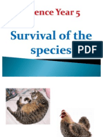 Science Year 5 Survival of Species