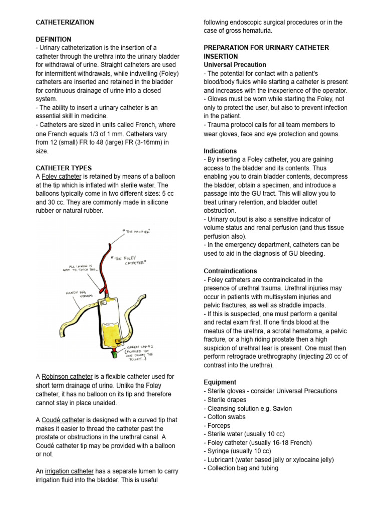 Catheterization | PDF | Catheter | Urology