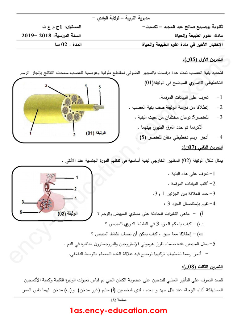 Dzexams 1as Sciences 1763380 | PDF