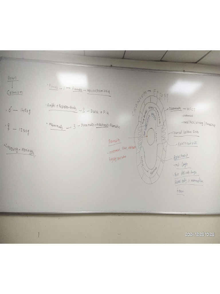 Deepak Sir Notes | PDF