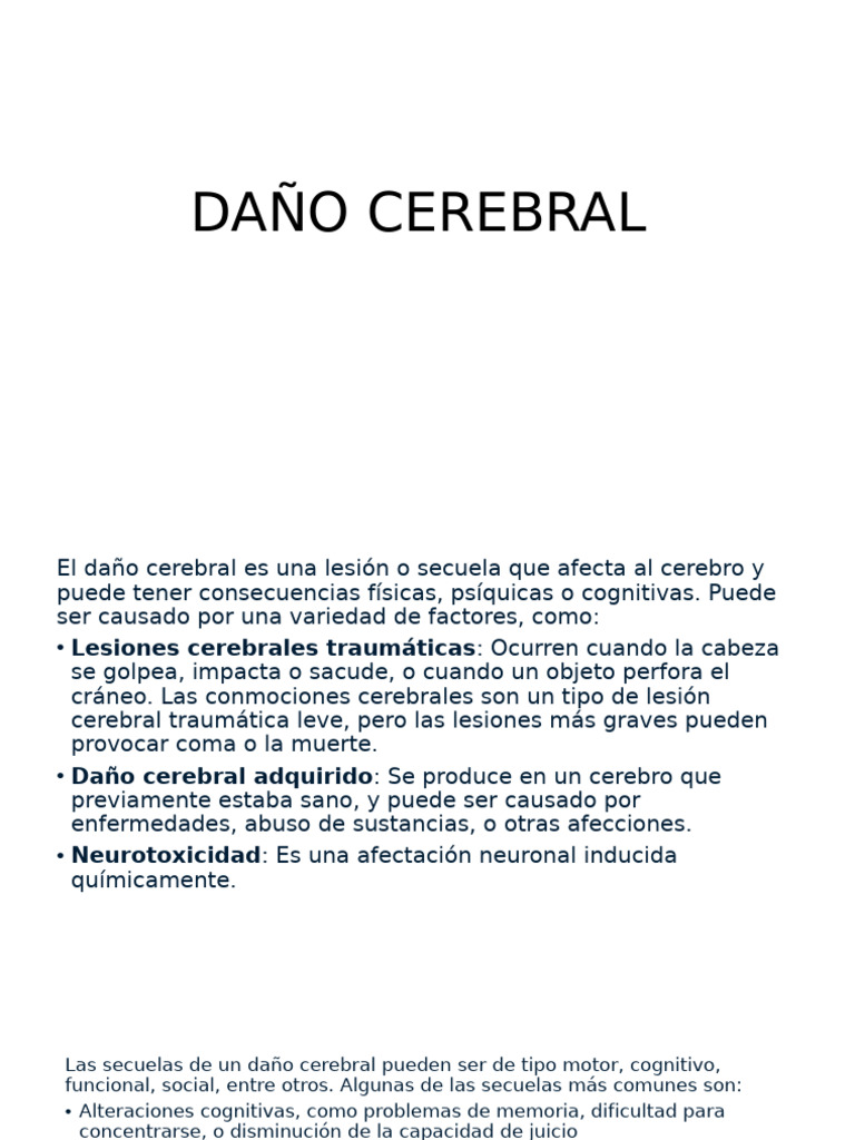 Tipos y Consecuencias del Daño Cerebral | PDF