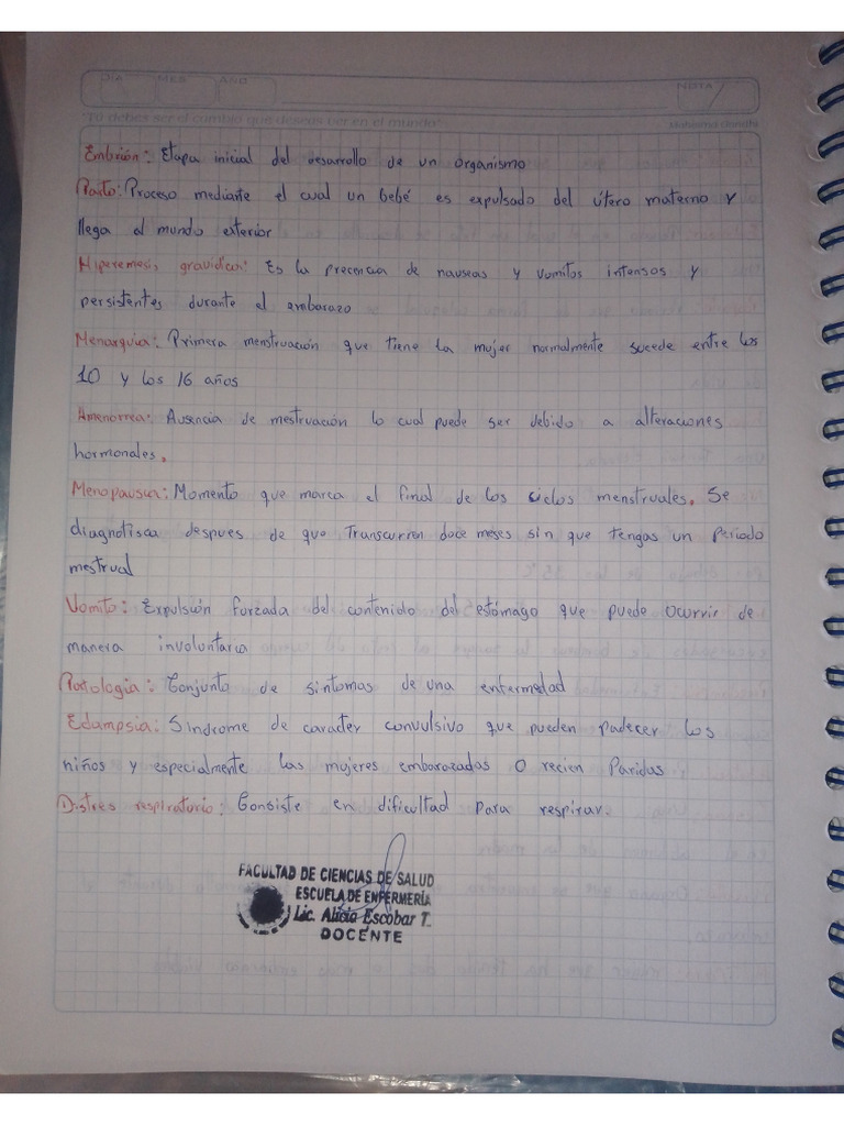 Terminología | PDF