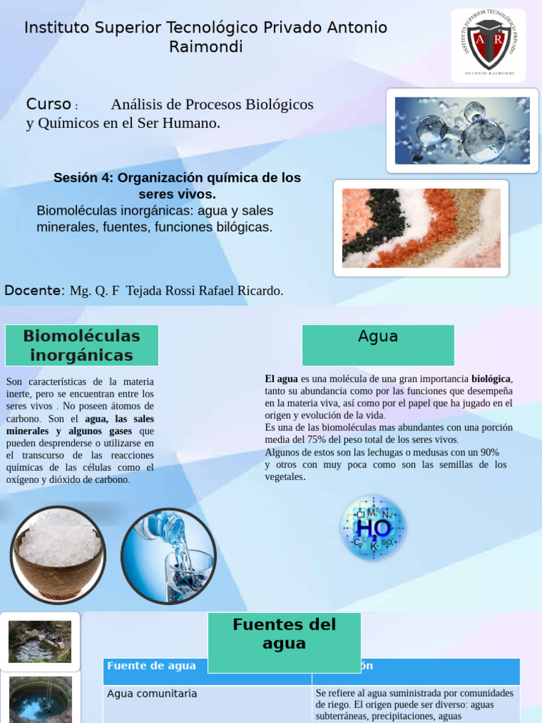 TEMA 3 Organización Química de Los Seres Vivos AGUA. | PDF | Agua | Calcio