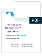 Principles of Management: Term Project