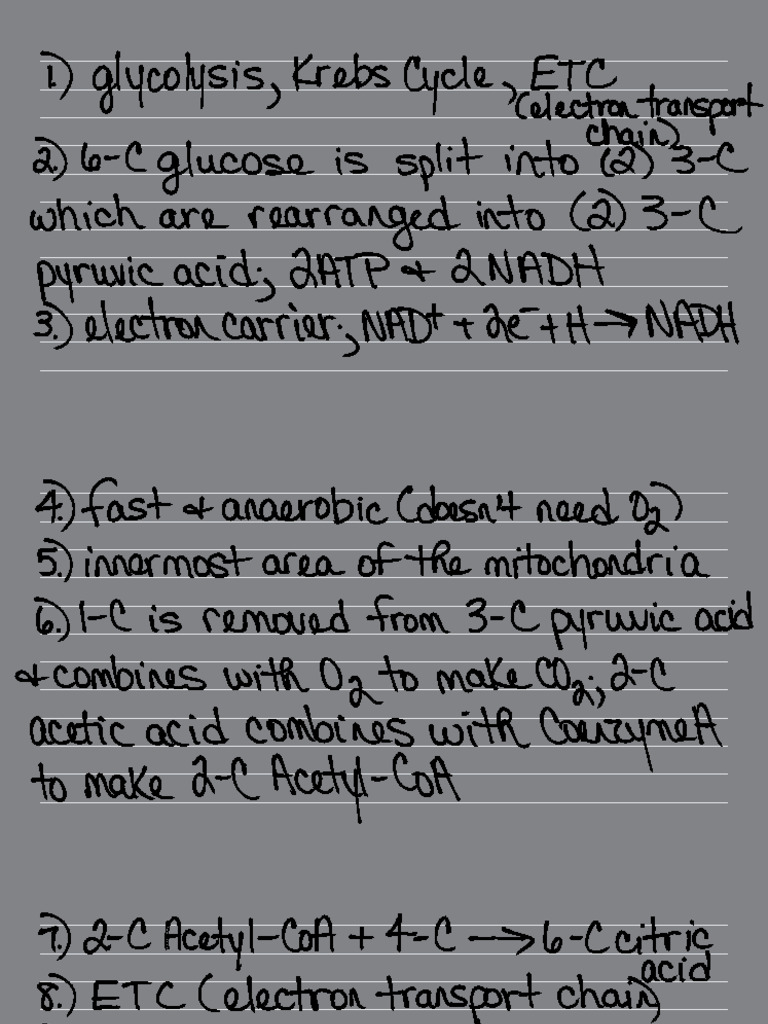 CH 10 Section 2 | PDF
