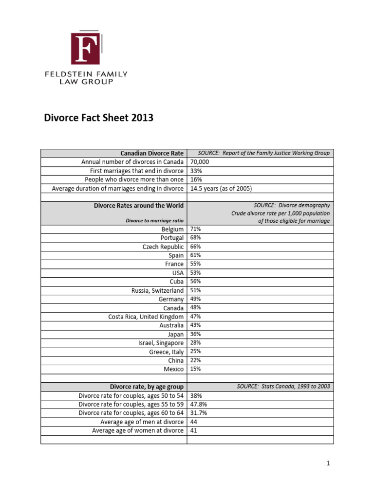 FELDSTEIN FAMILY LAW Divorce Fact Sheet 2013 | PDF | Divorce | Child ...