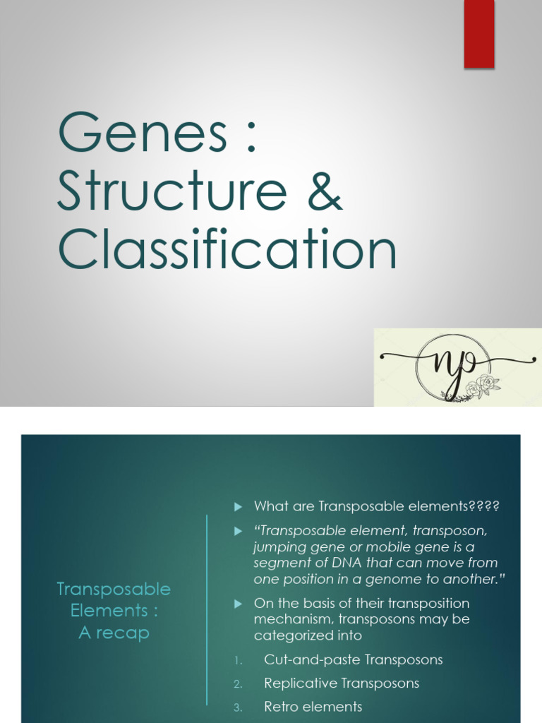 Transposable Elements and Gene Structure | PDF | Transposable Element ...
