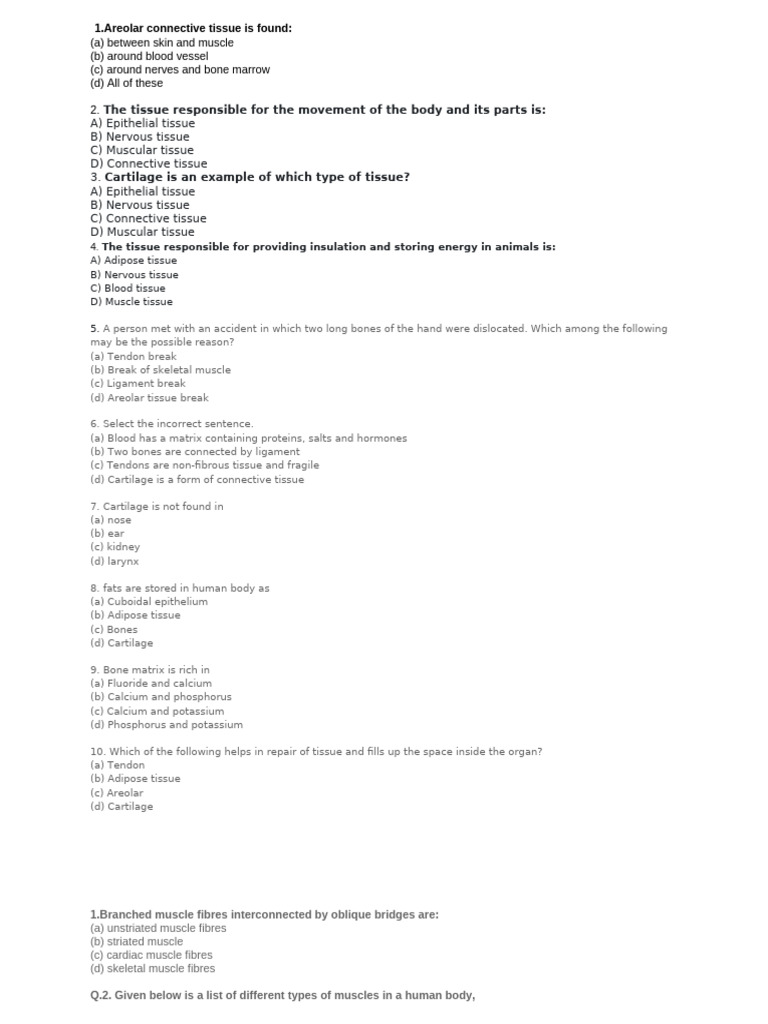 Striated Muscle Overview for Class 9 | PDF | Muscle | Tissue (Biology)