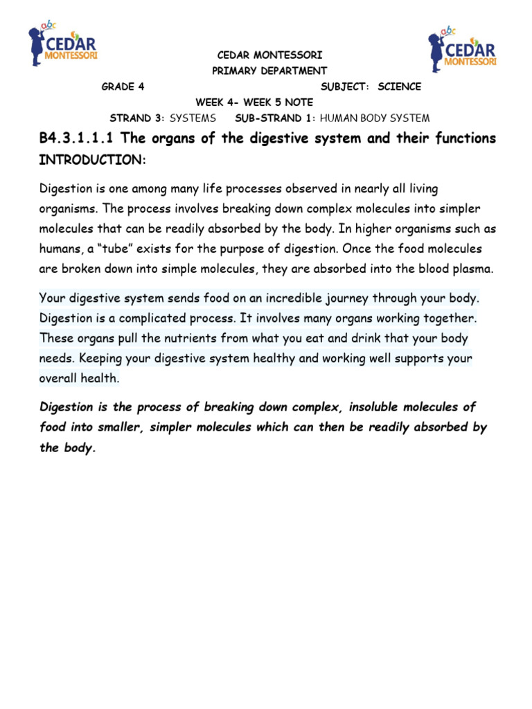 Basic 4 Science Note (Digestion) | PDF | Digestion | Human Digestive System