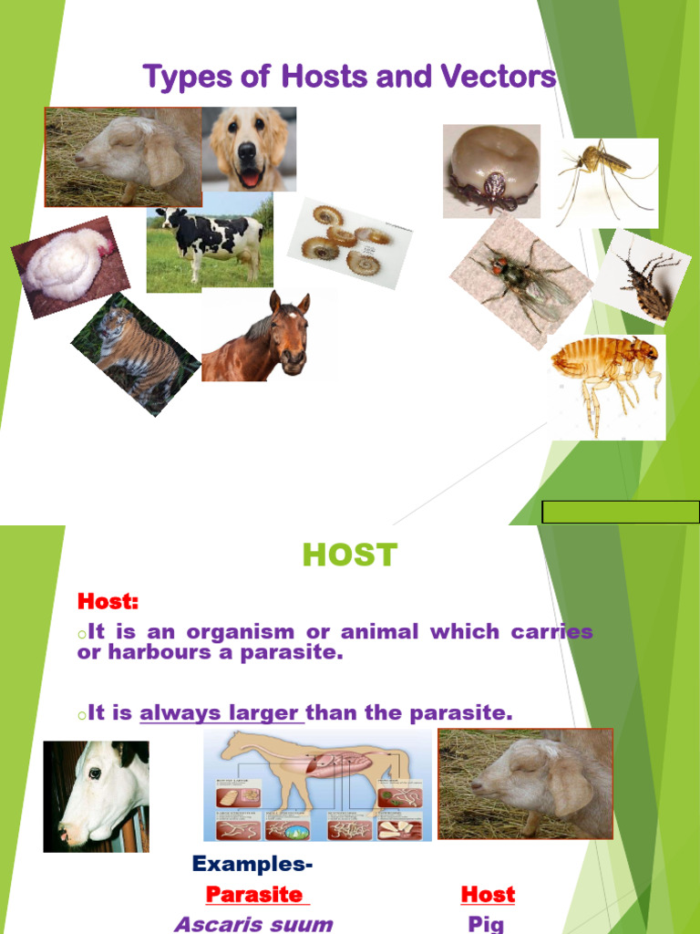 Types of Hosts and Vectors Explained | PDF | Parasitism | Parasitology