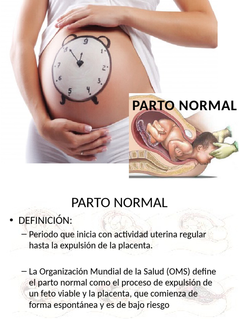 Guía Completa sobre Parto Normal | PDF | Parto | Pelvis