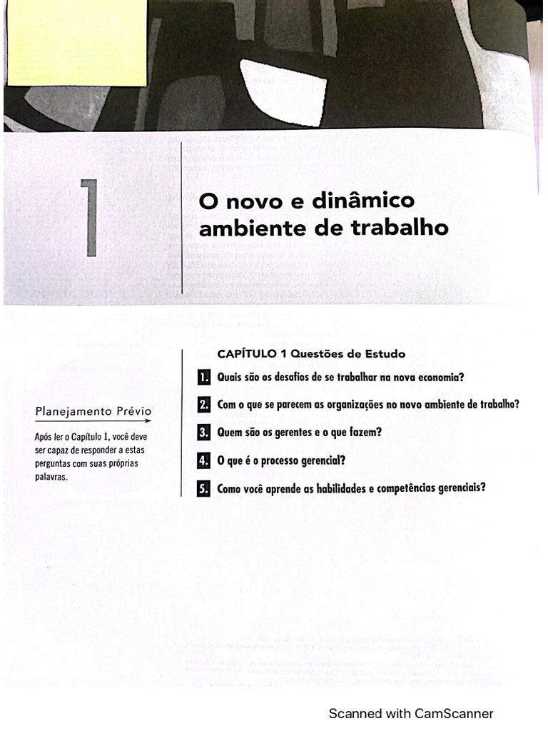 1 Novo Ambiente de Trabalho | PDF