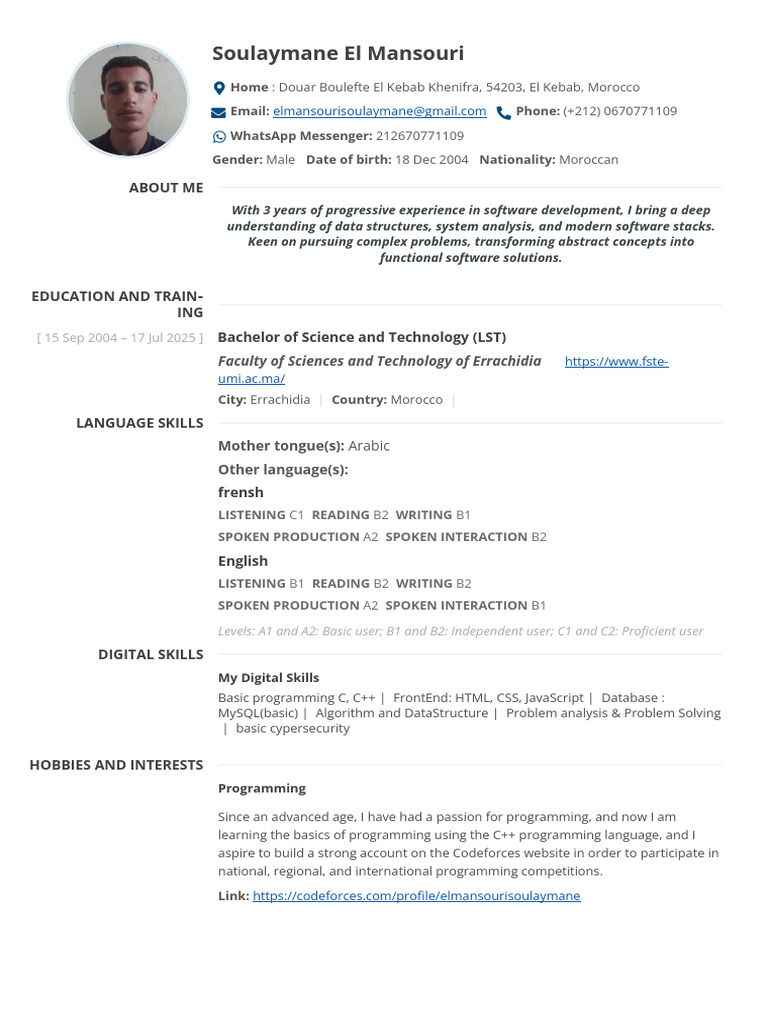 Software Developer Profile Summary | PDF | Computer Programming | Computing
