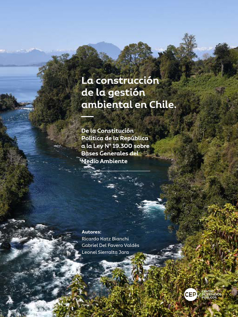La Construccion de La Gestion Ambiental en Chile - Verpdf | PDF ...